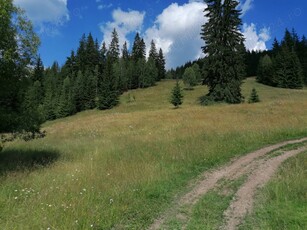 Teren de vanzare in Bucovina Comuna Breaza Zona Paraul Negrei