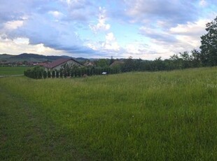 Teren de vanzare intravilan, 2000 Mp, Albesti, Sighisoara