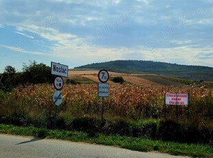 Teren de vanzare Noslac, jud. Alba, 8700 mp