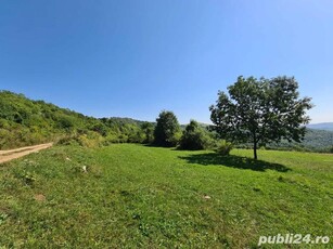 Teren de vanzare Ramet - Transalpina de Apuseni