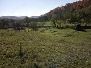 teren in Candesti Arges, langa pastravarii si in zona de munte