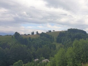 Teren in Șirnea - Fundata