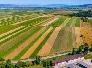 Teren insorit in Teliu, 7000mp, cu front la strada!