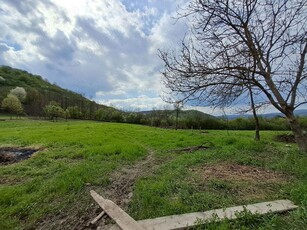 Teren intravilan 1 ha in Pojoga, com Zam, HD