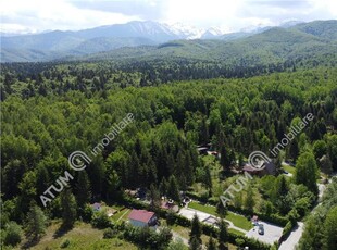 Teren intravilan 1000 mp de vanzare in Avrig zona Valea Avrigului