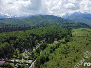 Teren intravilan 1000 mp de vanzare pe Valea Avriguluiu