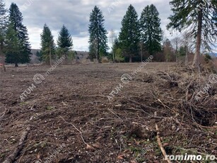 Teren intravilan 1000 mp in Avrig zona Valea Avrigului