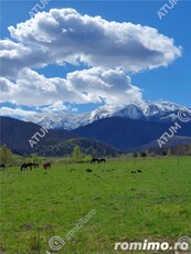 Teren intravilan 1250 mp de vanzare in Avrig zona Valea Avrigului