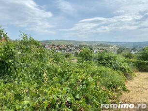 Teren intravilan 1500mp zona Lidl Bucium