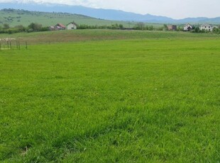 Teren intravilan, 2500 mp, calea Cisnădiei.