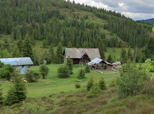 Teren intravilan 3 ha, cu cabane, la marginea padurii