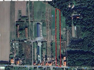 Teren intravilan 3000mp, Bazosu Nou langa Parcul Dendrologic