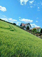 Teren intravilan 4200 mp, de vanzare in municipiul Tarnaveni, strada Armatei, nr, 192, judetul Mures