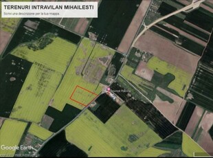 Teren intravilan 57500 mp - Mihailesti - Giurgiu