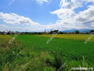 Teren intravilan 677 mp in Cristian langa Sibiu