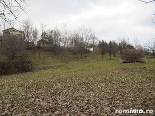 Teren intravilan Campina, Prahova