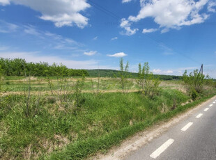 Teren Intravilan, cu 50 m deschidere la str principala posibilitate de parcelare