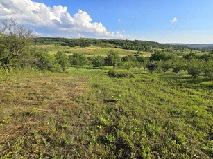 Teren intravilan cu priveliște deosebita Uileacu de Munte județul Bihor