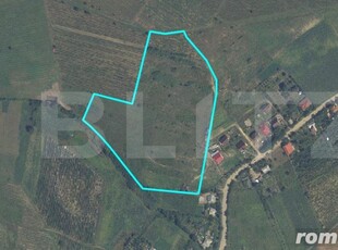 Teren intravilan de 3,6 ha, Tomesti