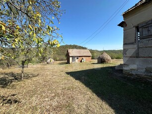 Teren intravilan de vanzare 14000mp,ideal pentru investitie,Stauini,Vintu de Jos