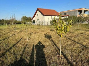 Teren intravilan de vanzare