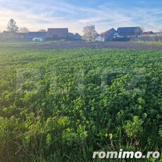 Teren Intravilan Feldioara cu toate utilitatiile-vedere spre munte