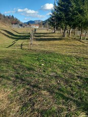 Teren Intravilan în Comuna Fundu Moldovei Suceava