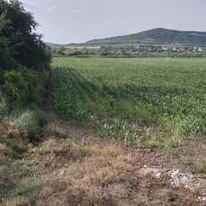 Teren intravilan in Satul Feisa, Comuna Jidvei, Judetul Alba