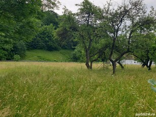 Teren intravilan in Sinca Noua - Brasov.