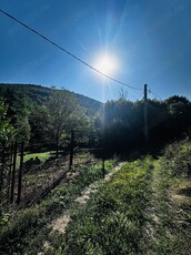 Teren intravilan la munte, intre Buru si Rimetea, zona de cabane