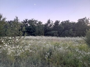 teren intravilan la padure