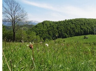 Teren Intravilan - Moeciu De Jos