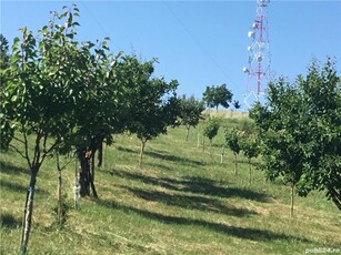 Teren intravilan Oradea