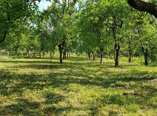 Teren intravilan Oradea Fagetului -panorama deosebita