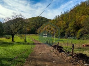 Teren intravilan, parcele, Vata de Sus, jud. Hunedoara