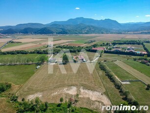 Teren intravilan, plat – 31.379 mp, Rasnov – zona Panicel