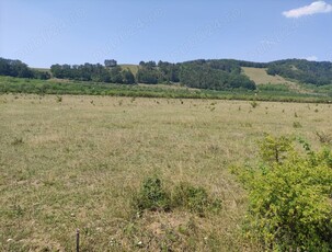 Teren intravilan Sânpetru,Brașov