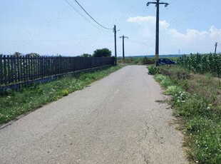 Teren intravilan Schineni Bacau