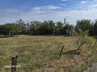 Teren intravilan si padure in Cucorani