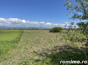 Teren la 13 KM de Baia Mare