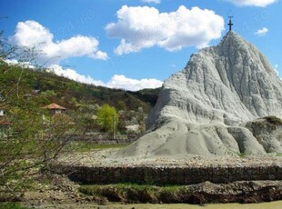 Teren + pădure de vânzare în mânzălești 5000 mp