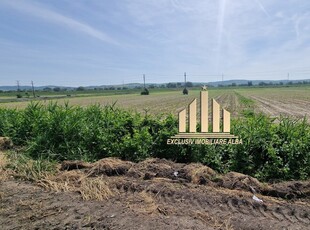 Teren pentru constructii industriale pe soseaua de centura