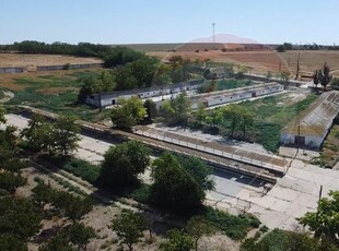 Teren si Ferma de vanzare in loc. Cobadin