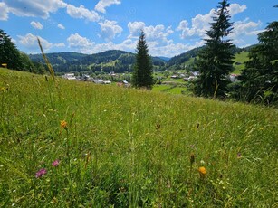 Teren si Pensiune de vanzare in Bucovina Comuna Fundu Moldovei zona Botus