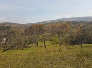 Un teren care își așteaptă proprietarul