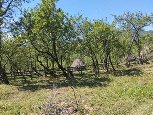 Vând 13 ari teren intravilan în localitatea Valea Vadului