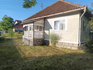 vand casa cu gradina