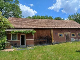 Vand casa in loc. Luieriu, jud. Mures