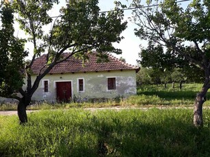 Vând livadă în Vaida Bihor