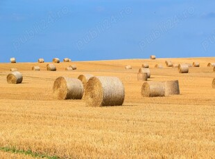 Vand teren agricol 2,5 ha Varlezi jud. Galati